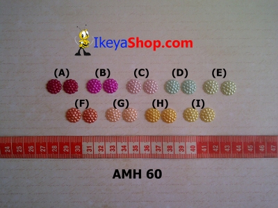 AMH 60  large2